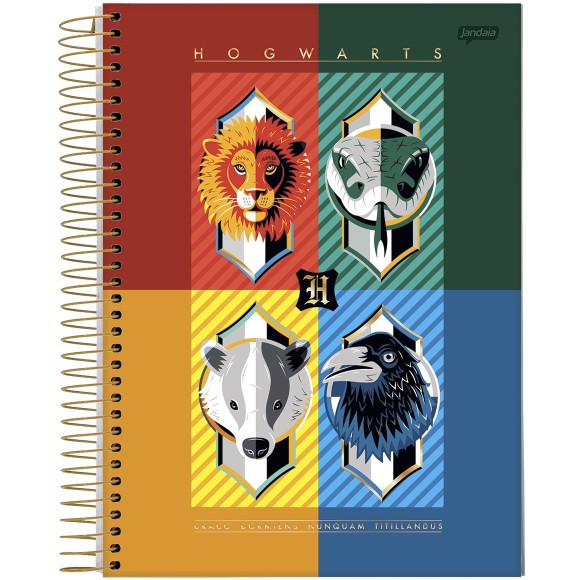 Caderno 10 Matérias Universitário Espiral Harry Potter - Jandaia