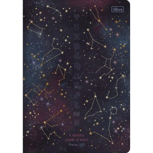 Agenda Planner Grampeado 17,8 x 25,4 cm Magic 90g 2025 - Tilibra