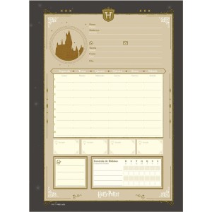 Caderno 10 Matérias Universitário Espiral Harry Potter Grifinória - Jandaia